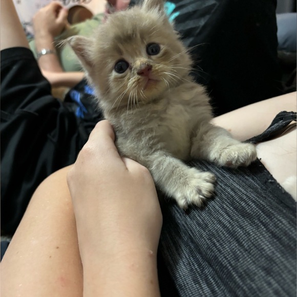 GOING LIVE NOW!!  Giveaway Now! - Picture 15 of 16